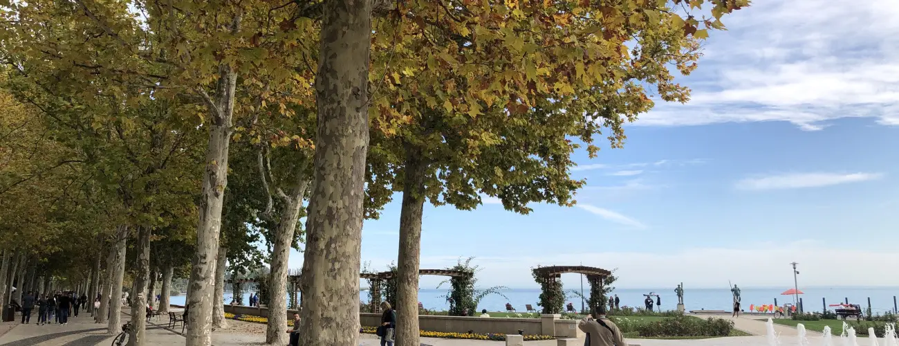 Astoria Hotel s tterem Balatonfred - Oktber 23.