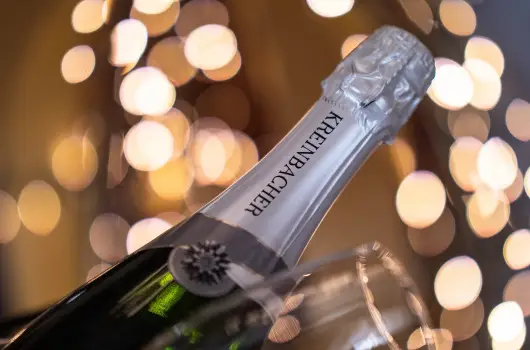 Astoria Hotel s tterem, Balatonfred