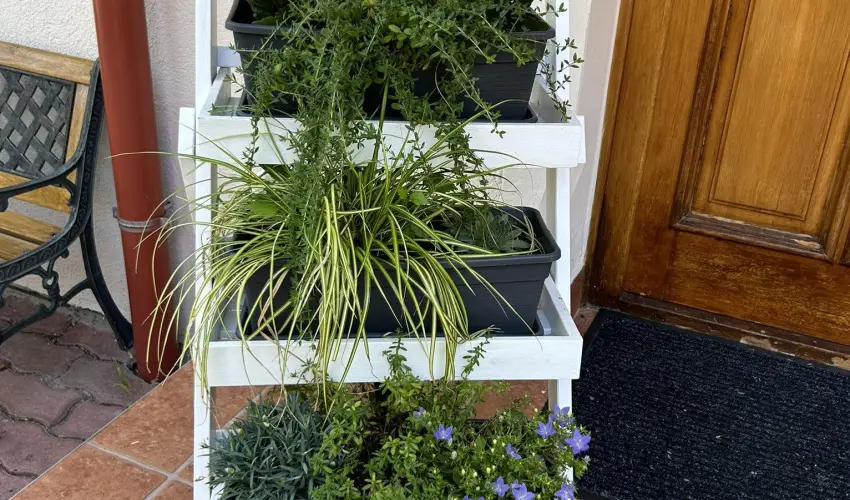 Aventurin House Révfülöp