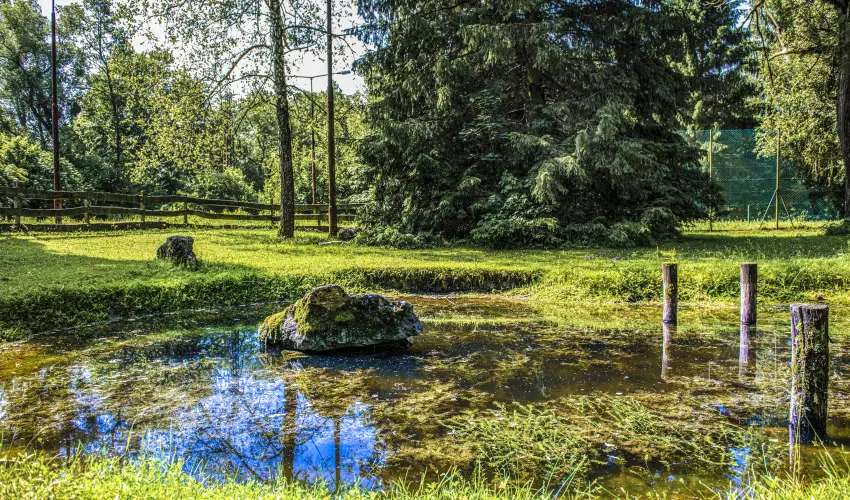 Hotel Bakony Bakonybél