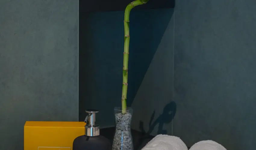 BJ81 Suite Hotel Si�fok