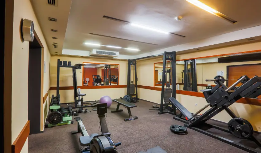 CE Plaza Hotel Sifok