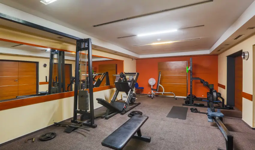 CE Plaza Hotel Sifok