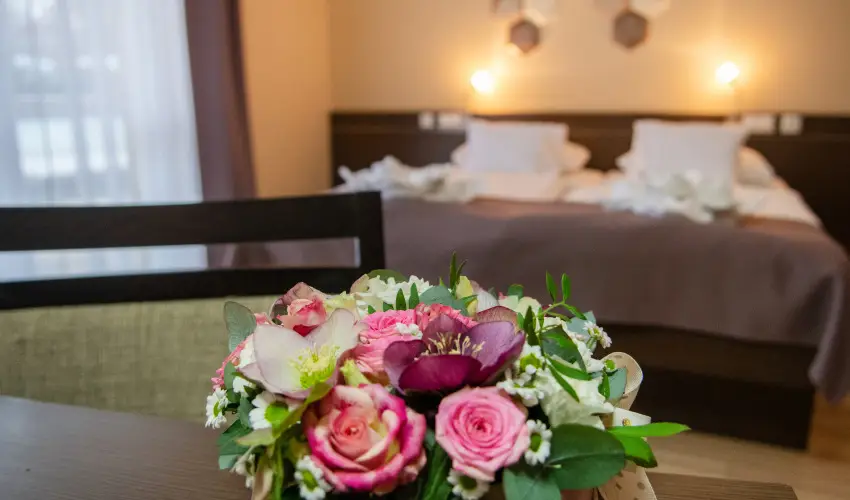 CE Plaza Hotel Sifok