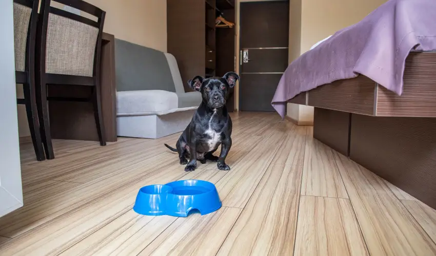 CE Plaza Hotel Sifok