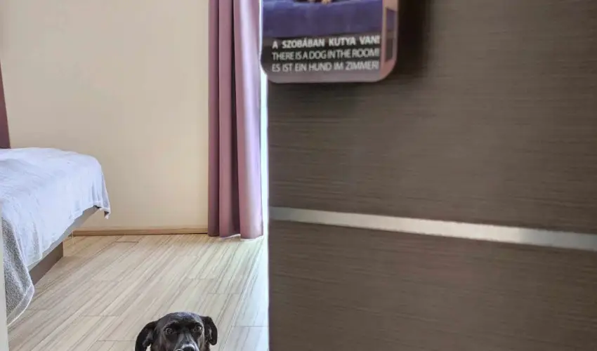 CE Plaza Hotel Sifok