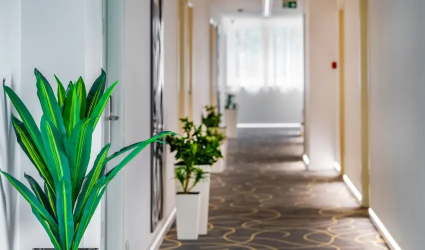 Holiday Resorts Balatonszrsz