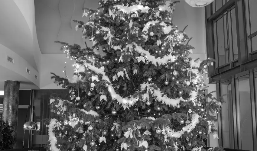 Aura Hotel Balatonfred