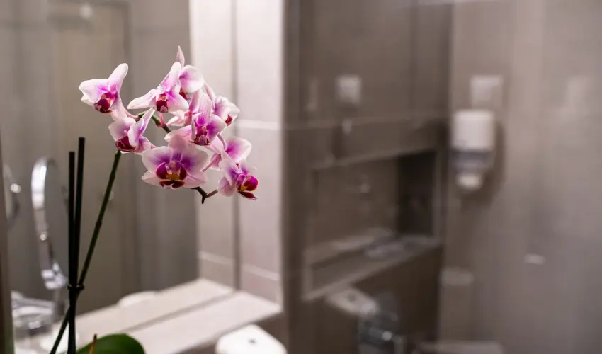 Hotel Margarta Balatonfred