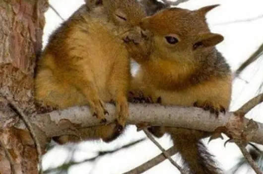 Hotel Szpalma, Porva-Szpalmapuszta, Balatonfred - 30 km