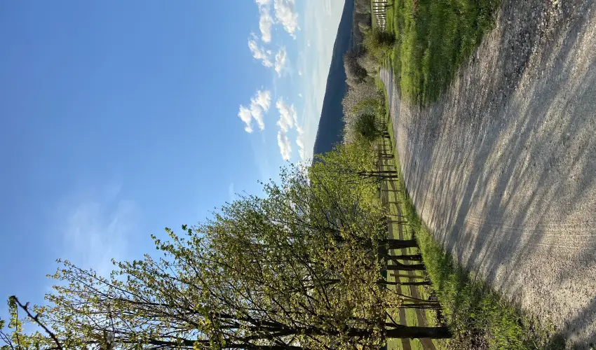 Hotel Szpalma Porva-Szpalmapuszta