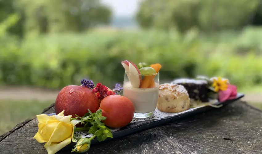 Hotel Szpalma Porva-Szpalmapuszta