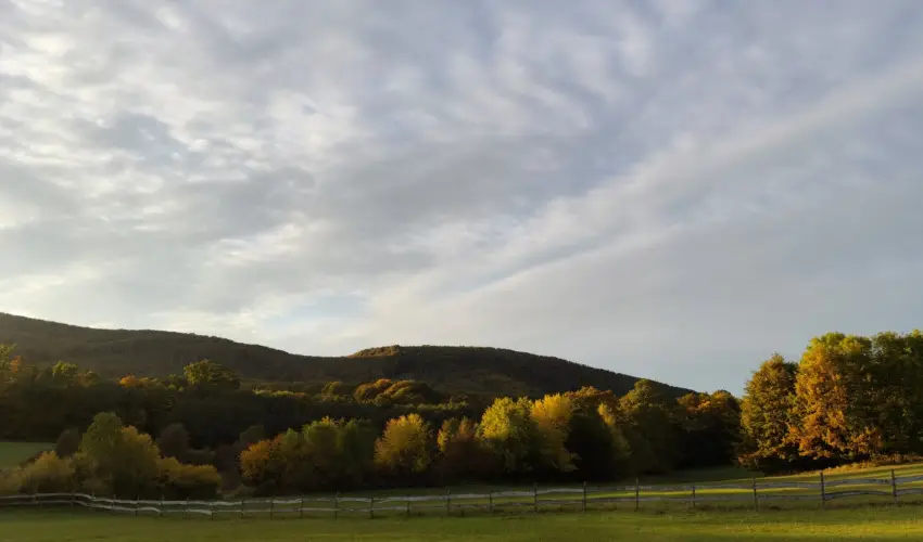 Hotel Sz�palma Porva-Sz�palmapuszta