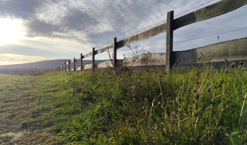 Hotel Sz�palma Porva-Sz�palmapuszta