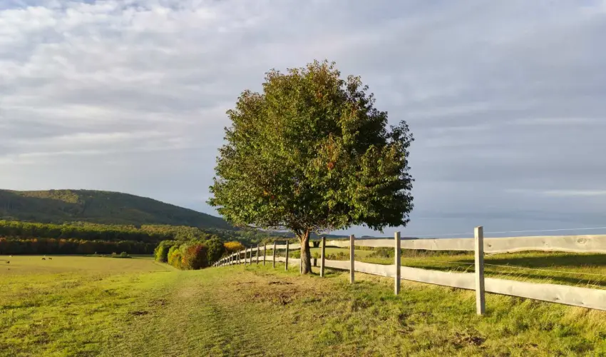 Hotel Sz�palma Porva-Sz�palmapuszta