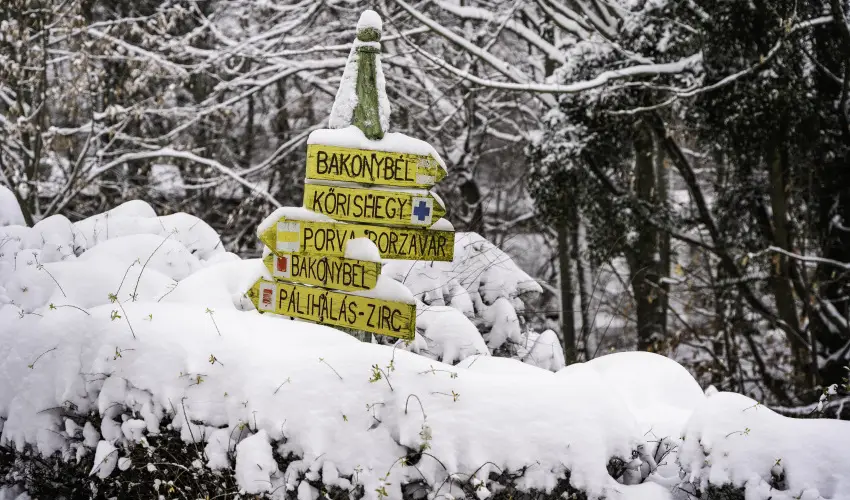 Hotel Sz�palma Porva-Sz�palmapuszta