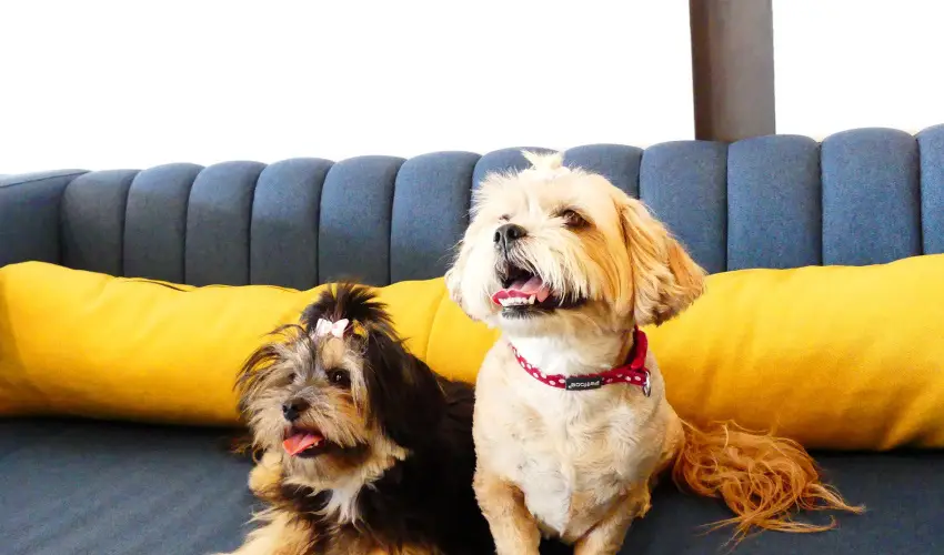 Hotel Yacht Wellness & Business Sifok