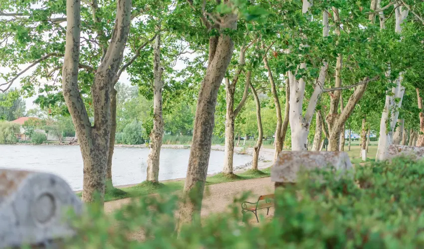 Hotel Anna Villa Balatonfldvr