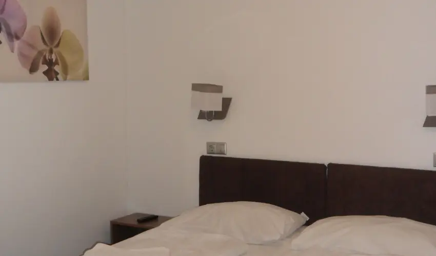 Nereus Park Hotel Balatonalmdi