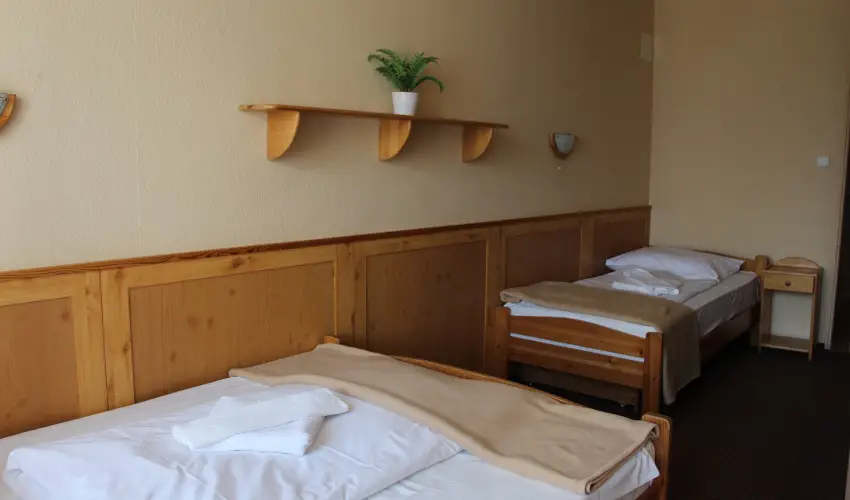 Nereus Park Hotel Balatonalmdi