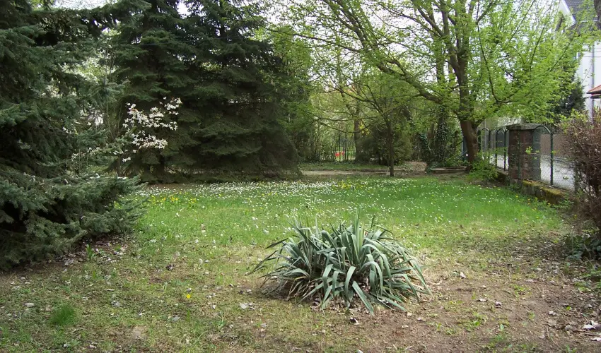 Parti Stny Vendghz Balatonkenese