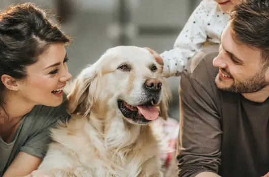 PSZ Hotel Beach F�ldv�r, Balatonf�ldv�r, Balatonf�red - 9 km