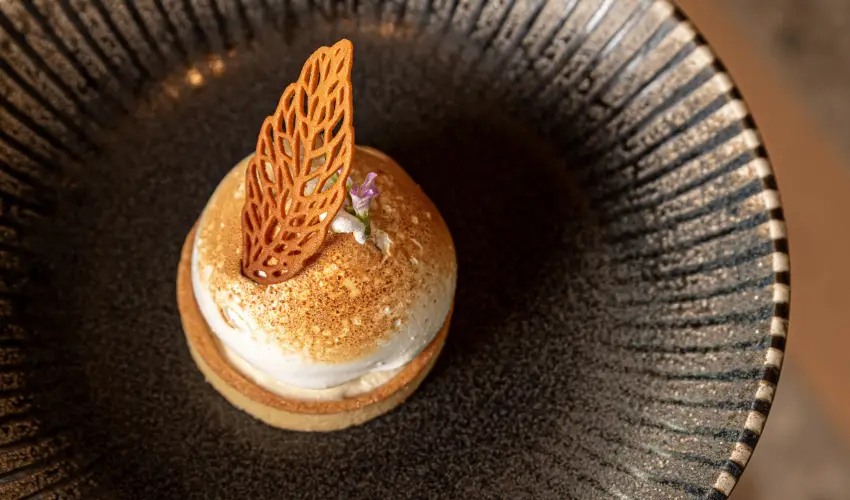 REED Luxury Hotel & Bistro Siófok