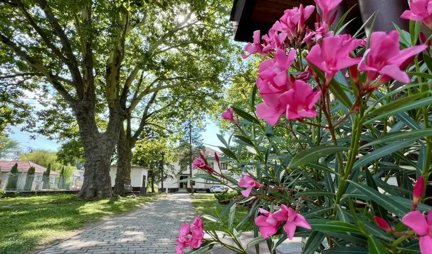 Sir�ly Hotel Balatonlelle