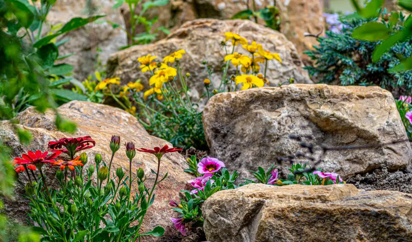 SunGarden Wellness Hotel Sifok