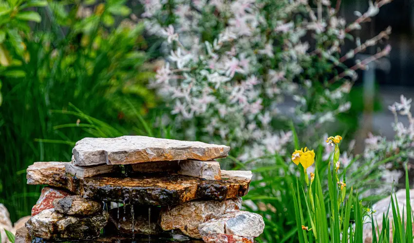 SunGarden Wellness Hotel Sifok