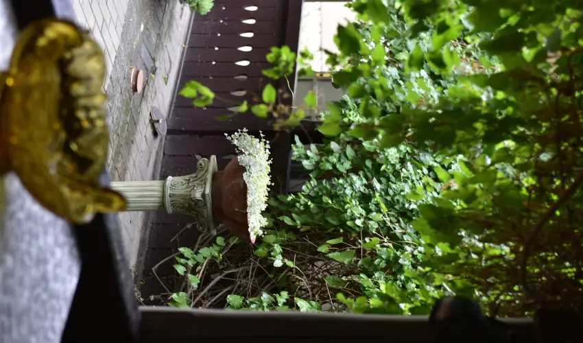 Torncos Vendghz Krshegy