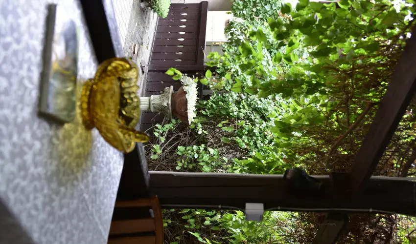 Torncos Vendghz Krshegy