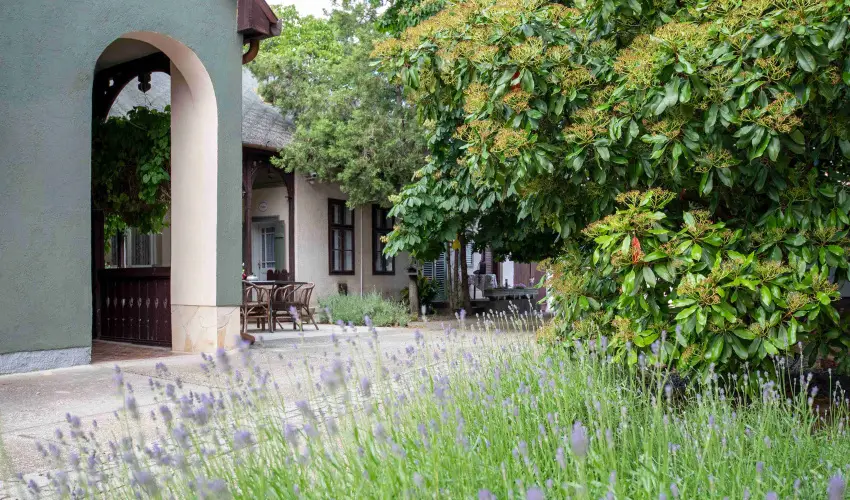 Torncos Vendghz Krshegy