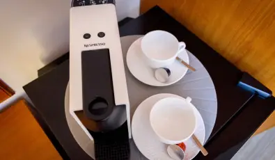 Tulipn Vendghz rvnyes