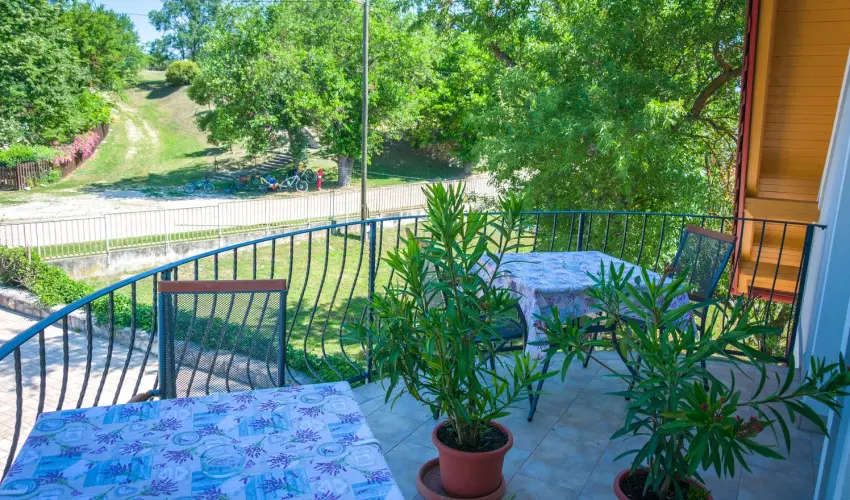 Tulipn Vendghz rvnyes