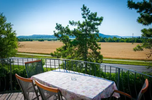 Tulipn Vendghz, rvnyes, Balatonfred - 7 km