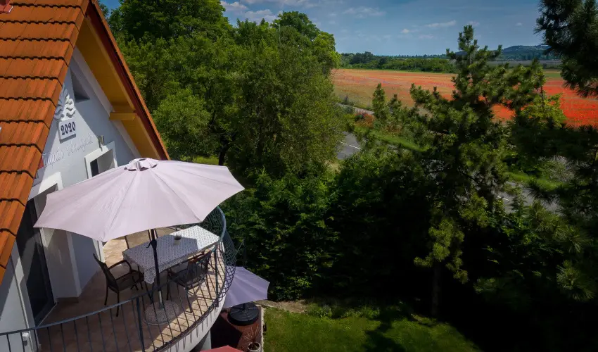 Tulipn Vendghz rvnyes