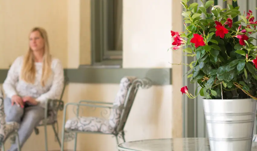 Villa Oliva Boutique Rooms Zamrdi