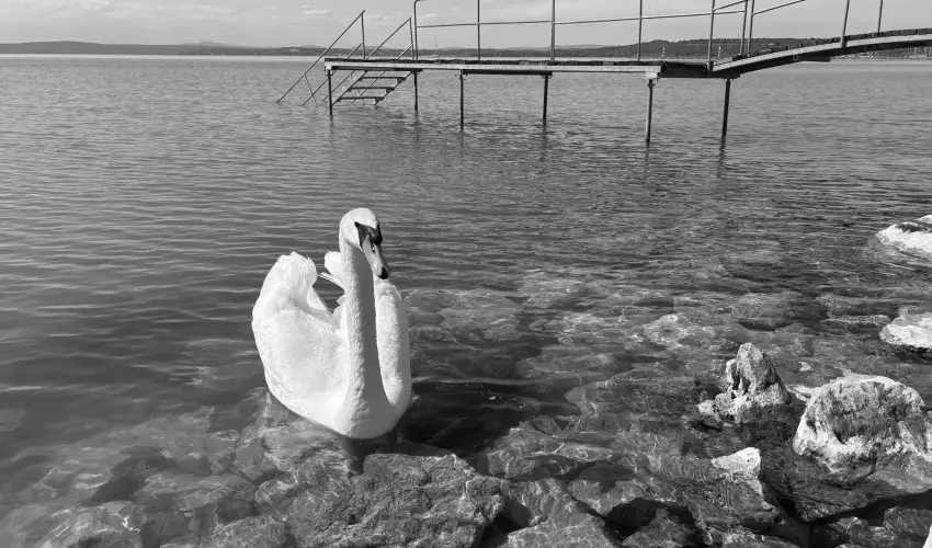 Vil�gos Hotel Balatonvil�gos