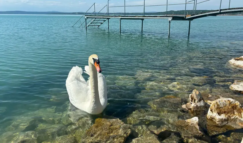 Vil�gos Hotel Balatonvil�gos