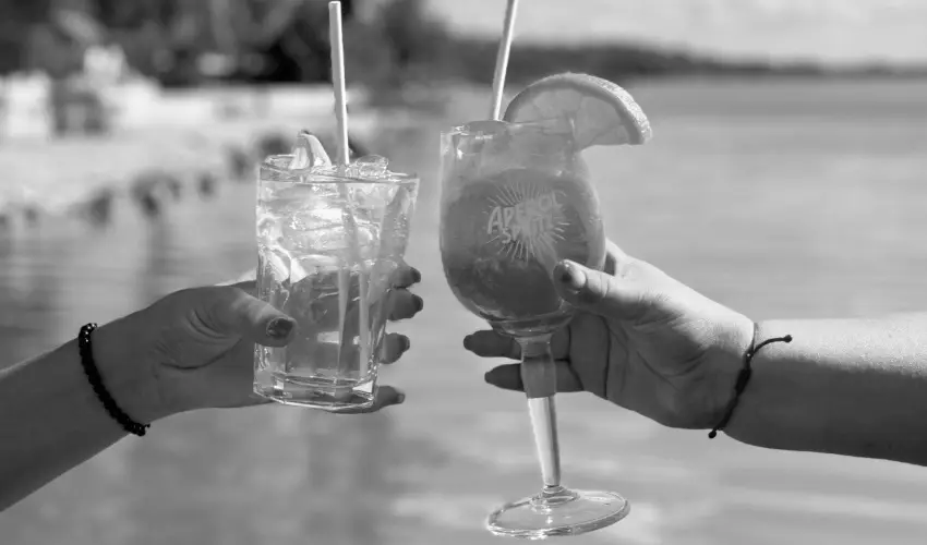 Vil�gos Hotel Balatonvil�gos