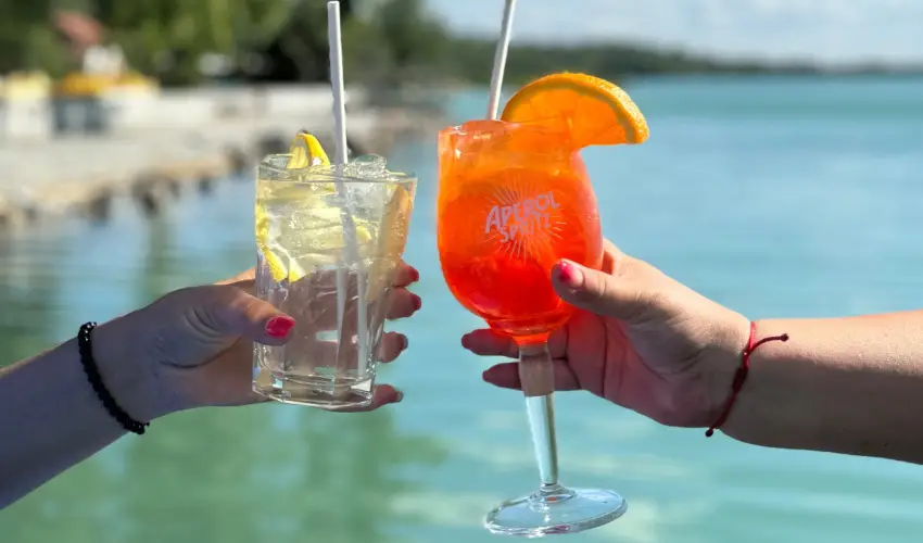 Vil�gos Hotel Balatonvil�gos