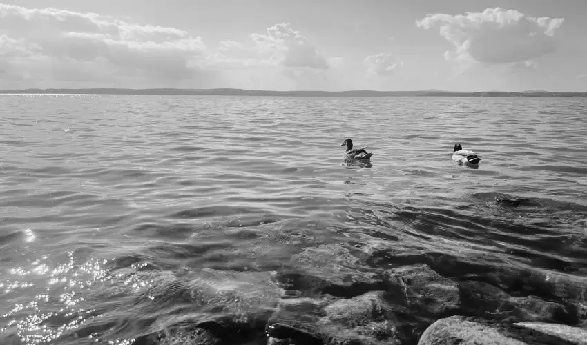 Vil�gos Hotel Balatonvil�gos