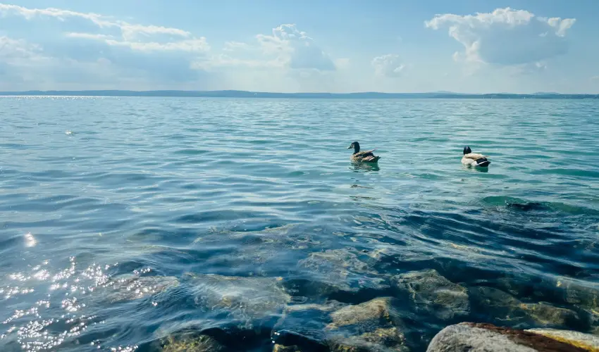 Vil�gos Hotel Balatonvil�gos