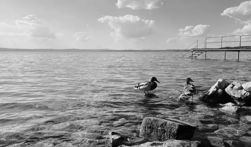 Vil�gos Hotel Balatonvil�gos