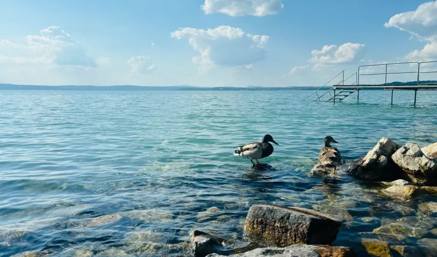 Vil�gos Hotel Balatonvil�gos