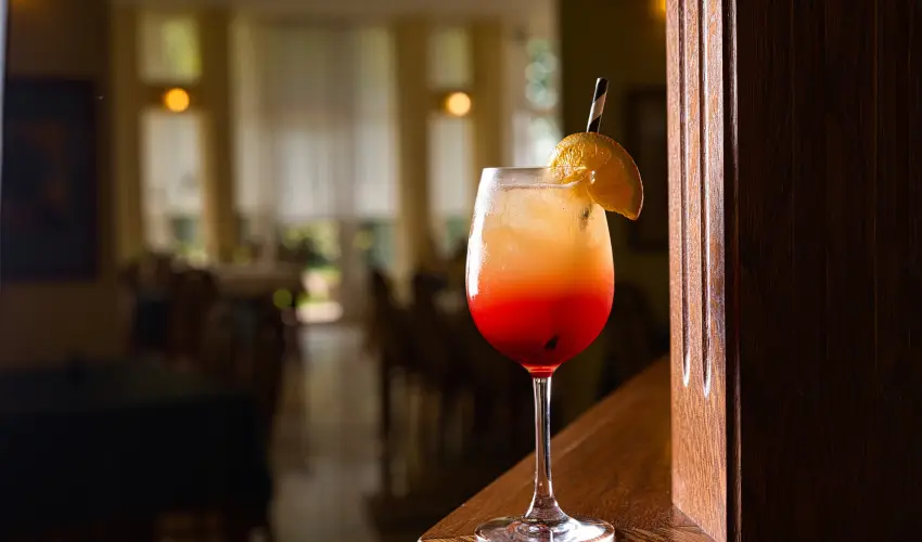 Vil�gos Hotel Balatonvil�gos